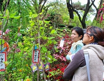 2013.04.06.02.jpg