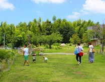 2013.07.15.01.S.jpg