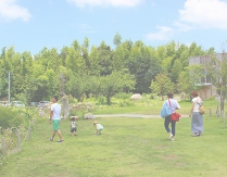 2013.07.15.01.S.jpg